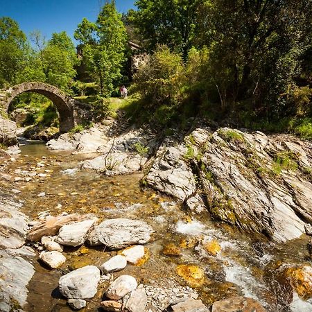 Transgardon B&B En Cevennes Saint-Privat-de-Vallongue Eksteriør billede