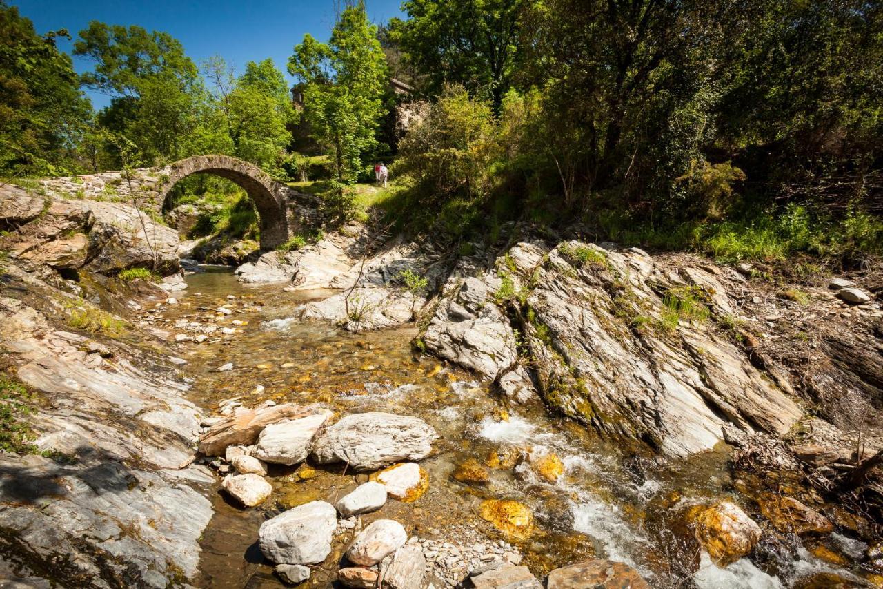 Transgardon B&B En Cevennes Saint-Privat-de-Vallongue Eksteriør billede