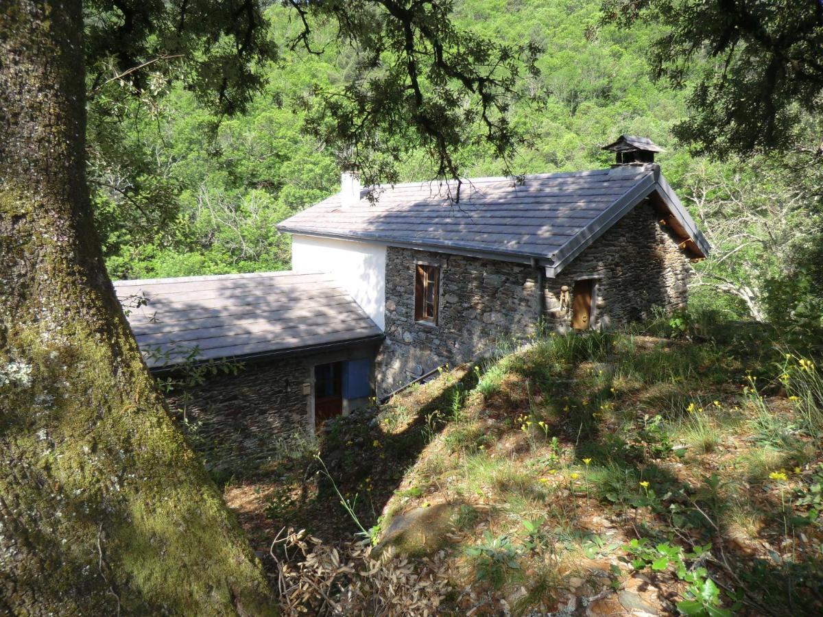 Transgardon B&B En Cevennes Saint-Privat-de-Vallongue Eksteriør billede