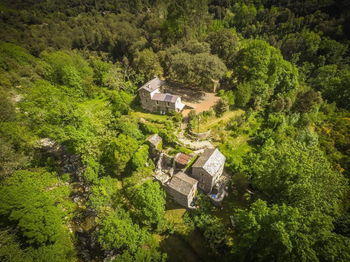 Transgardon B&B En Cevennes Saint-Privat-de-Vallongue Eksteriør billede