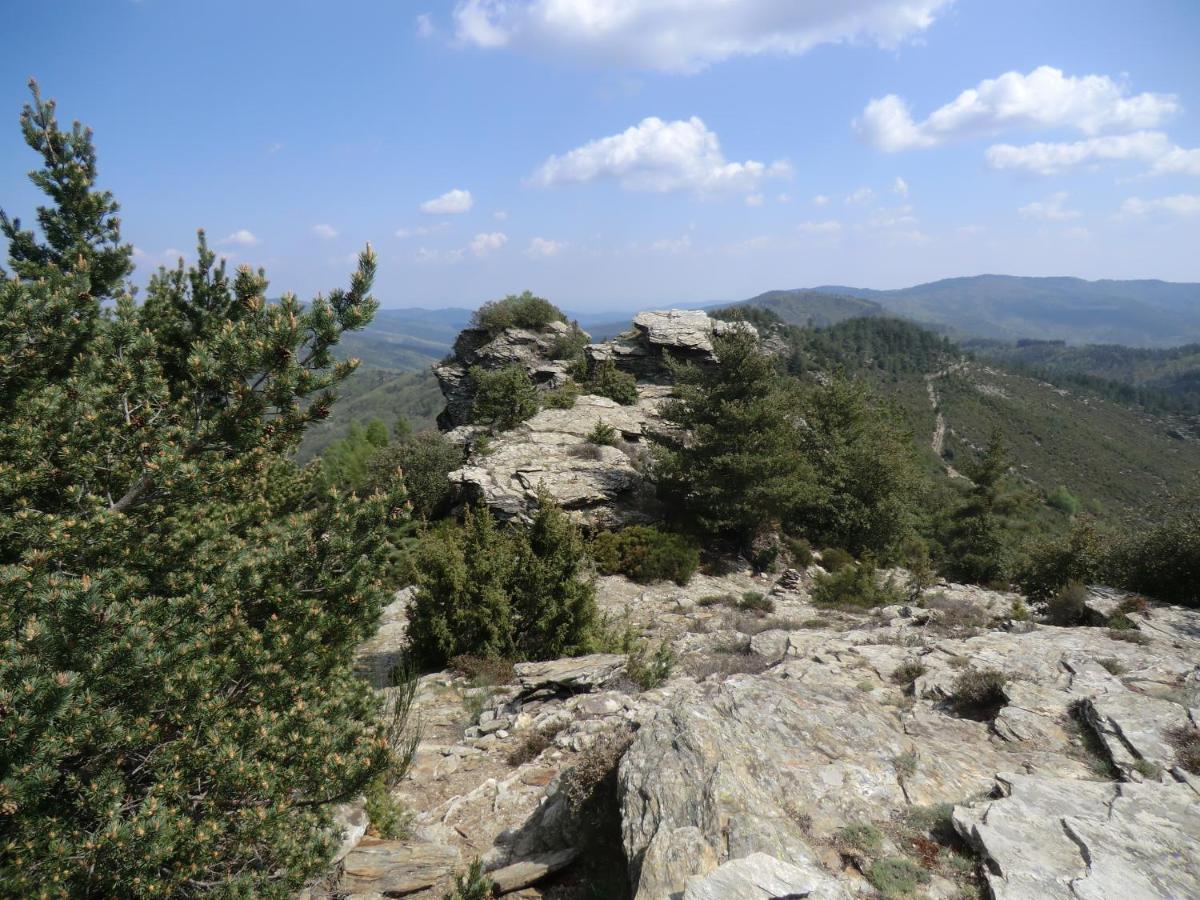 Transgardon B&B En Cevennes Saint-Privat-de-Vallongue Eksteriør billede