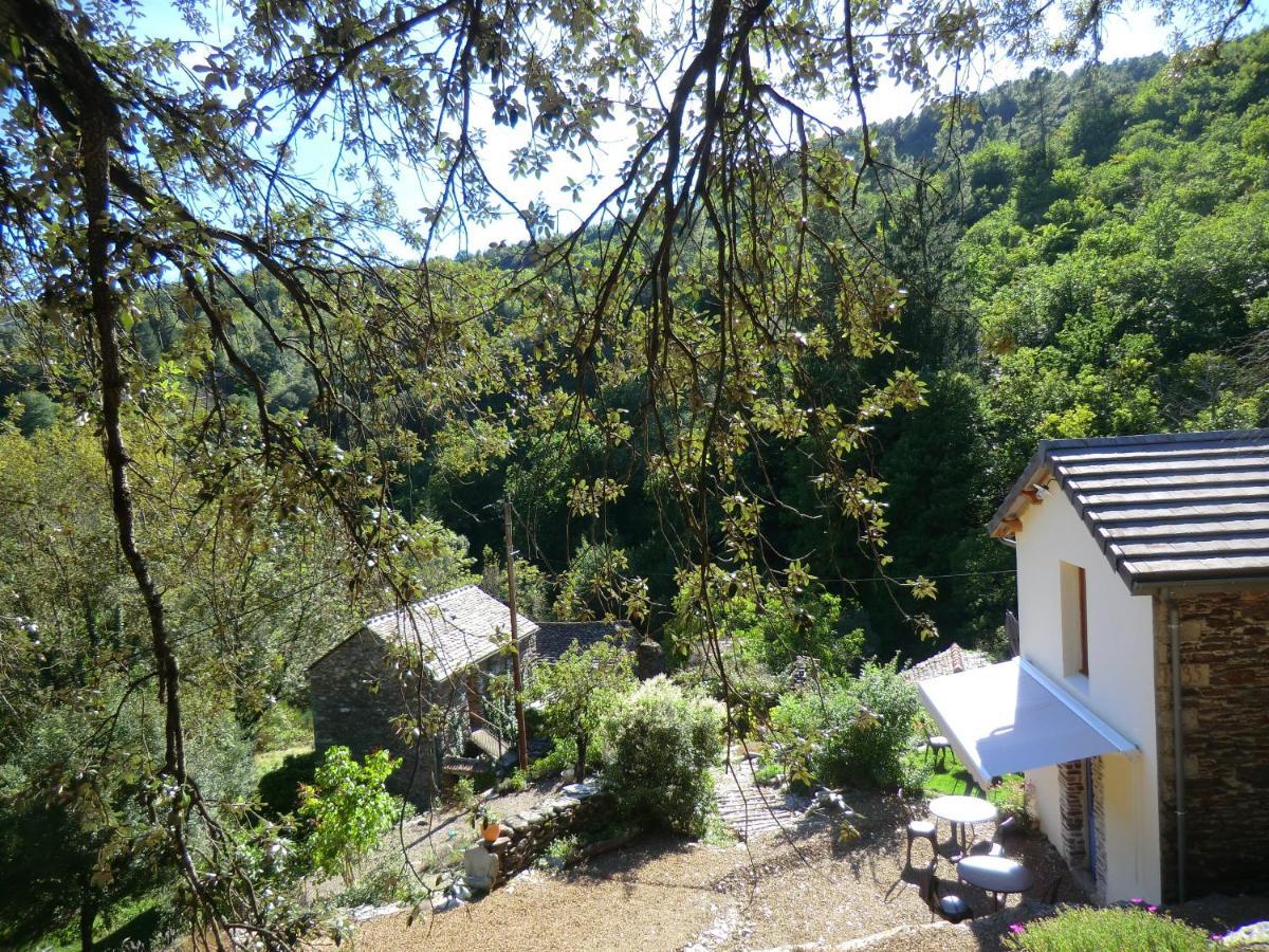 Transgardon B&B En Cevennes Saint-Privat-de-Vallongue Eksteriør billede