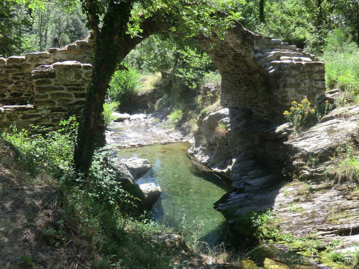 Transgardon B&B En Cevennes Saint-Privat-de-Vallongue Eksteriør billede
