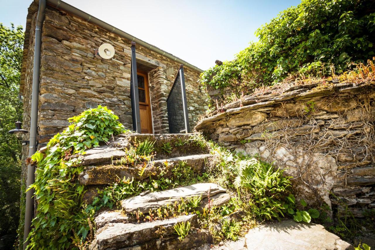 Transgardon B&B En Cevennes Saint-Privat-de-Vallongue Eksteriør billede