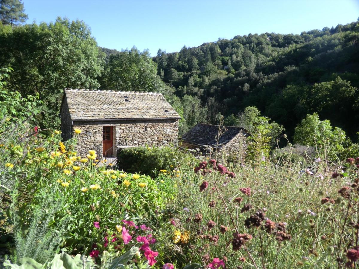 Transgardon B&B En Cevennes Saint-Privat-de-Vallongue Eksteriør billede